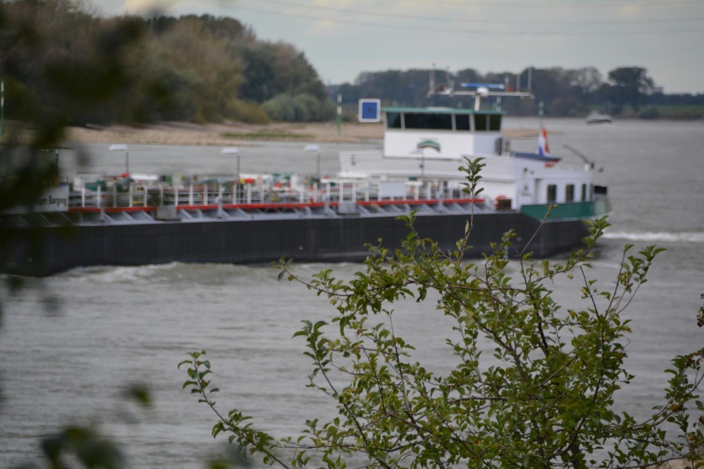 Самарская область продолжает искать перевозчика для обеспечения скоростного речного сообщения