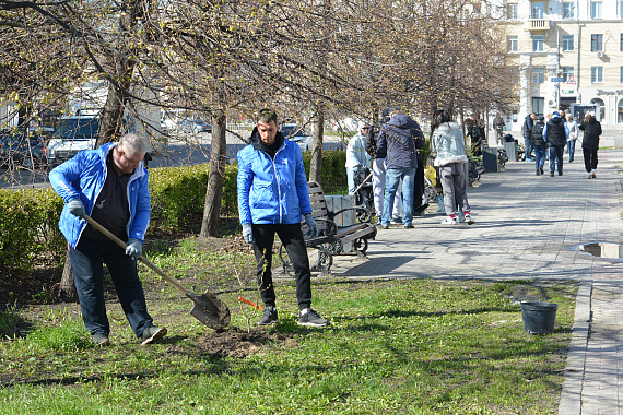 Депутаты Воронежской гордумы приняли участие в городском субботнике