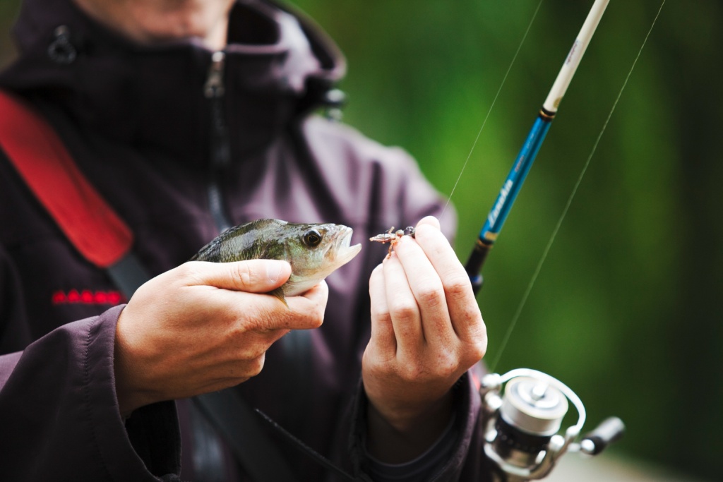В Горьковском водохранилище и других водоёмах Нижегородской области запретили ловить рыбу из-за нереста