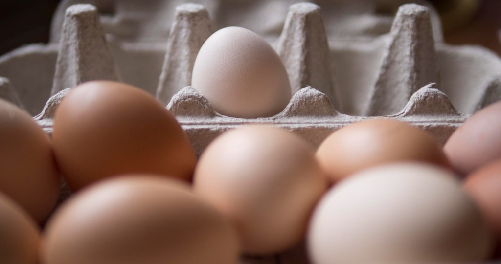 В Ивановской области в первом полугодии почти на 10% выросло производство яиц